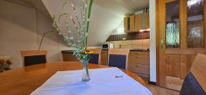 Apartments Pri Boštjanovcu 