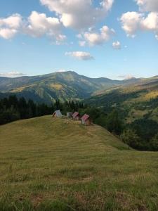 Eco katun Kofiljača