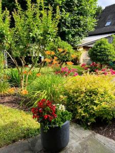 Maisons de vacances Chez castagnet : photos des chambres
