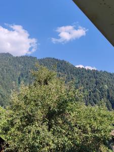 Napertskala Guesthouse