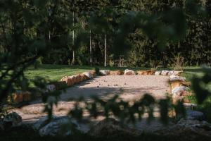 Maisons de vacances Au Bois Dormant gite 15 personnes : photos des chambres
