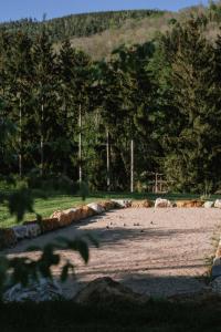 Maisons de vacances Au Bois Dormant gite 15 personnes : photos des chambres