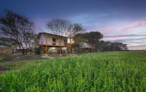 Alaya Stays Bagh Serai, Ranthambore