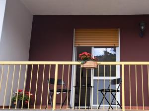 Dinkys apartment with a balcony overlooking the woods