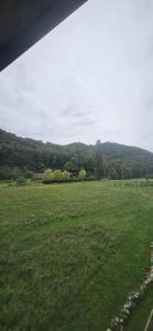 Affittacamere Noi- Casa vacanza