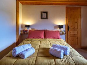 Maisons d'hotes Chalet LE VAL NESS : photos des chambres