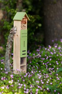 Heerlijk vakantiehuis met jacuzzi, ruime tuin en veel privacy