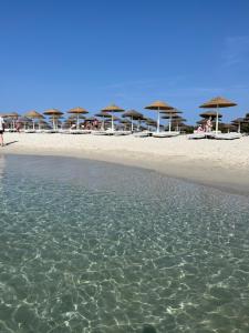 Tuffarsi nel Paradiso img92