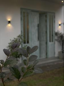 Nova Nest Villas