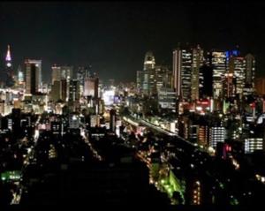 新宿一軒家120平米 Jr新大久保駅徒歩3分 浴室2 トイレ2 歌舞伎町徒歩10分 駐車場無料