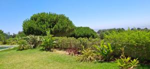 villa star hill Tanger