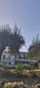 Braziliana Apartments