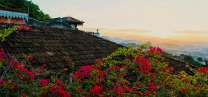 Inn House Santa Teresa