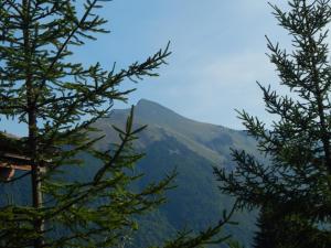 Maisons d'hotes Chalet LE VAL NESS : photos des chambres