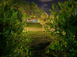 شاليه بحديقة قريه اركو لاجون العلمين الساحل الشمالي