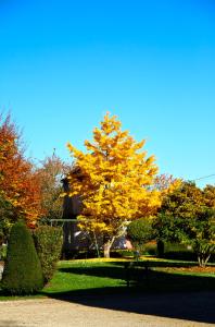 B&B / Chambres d'hotes Chateau de Montabert : photos des chambres