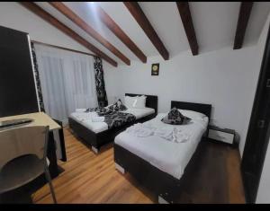 Casa Anghel Ocnele Mari