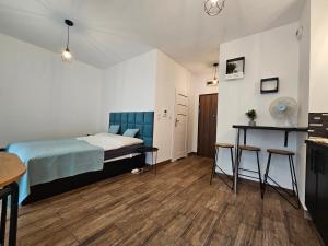 Steam Park Rakowicka Koper Apartment