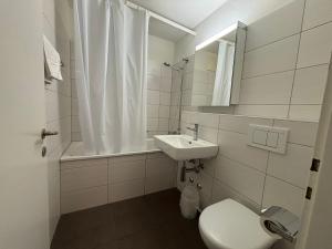 Spacious 1BR near Opera and Lake - Mill 5 43