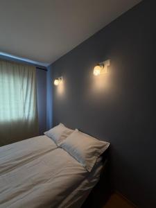 Garsonieră modernă în Zarnesti