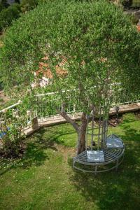 Maisons de vacances VILLA COLLINA - Vue sur la Mer - Jardin - Parking : photos des chambres
