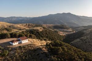 Dehesa el Mercadillo
