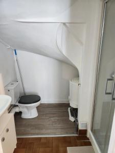 Appartements Charmant studio proche de la place Wilson : photos des chambres