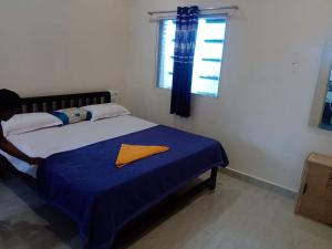 Shiva Homestay Hampi