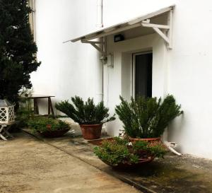 Henry Agriturismo Manfredonia