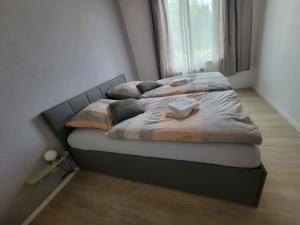 Das Düsselapartment