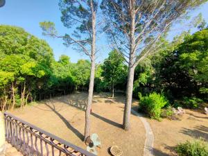 Villas L-Enclos du Chateau Valseille : photos des chambres