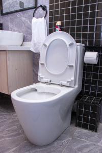 executive beautifully furnished apartment withmodern finishings ,swimming pool, fully equipped gym and other luxurious facilities and close proximity to major shopping malls in kilimani