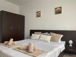 Barosa Apartment Bansko Royal Towers