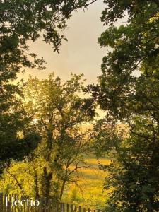 Maisons de vacances Cabane d’Ismou Pool & Wood Design : photos des chambres