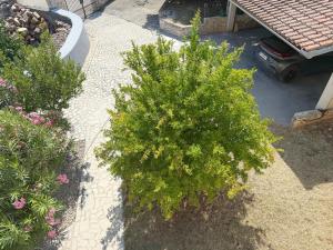 LacoDeLama mini resort