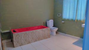 Ayurora home