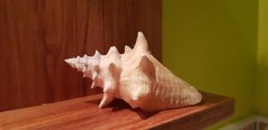 B&B / Chambres d'hotes Chambres d-hotes La Cote D-Argent : photos des chambres