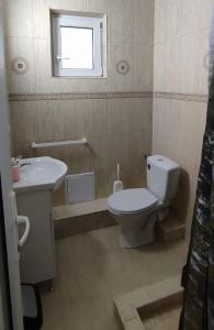 Pensiunea Casa Steli