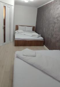 Pensiunea Casa Steli