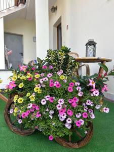 Affitto turistico pomarolo