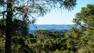 Pousada Caminho das Araucárias