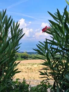Delizioso in Residence sul Garda