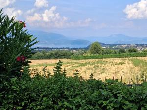 Delizioso in Residence sul Garda