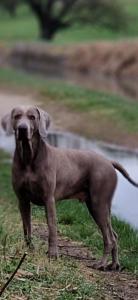 B&B / Chambres d'hotes La Bastide des Arts : photos des chambres