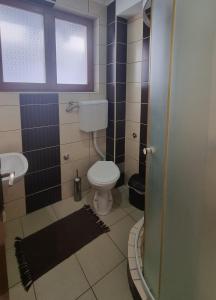 Apartmani Nešović Tara