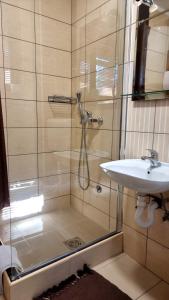 Apartmani Nešović Tara