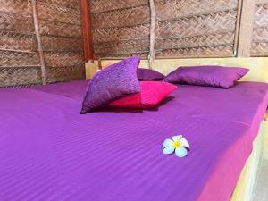 Coco Cottage Kite Surfing-Kalpitiya