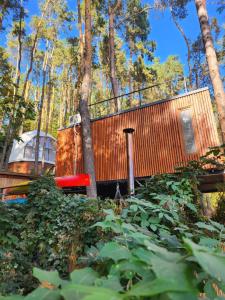 Nad Narvią - dom na drzewie