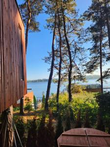 Nad Narvią - dom na drzewie