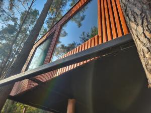 Nad Narvią - dom na drzewie